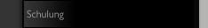 Schulung